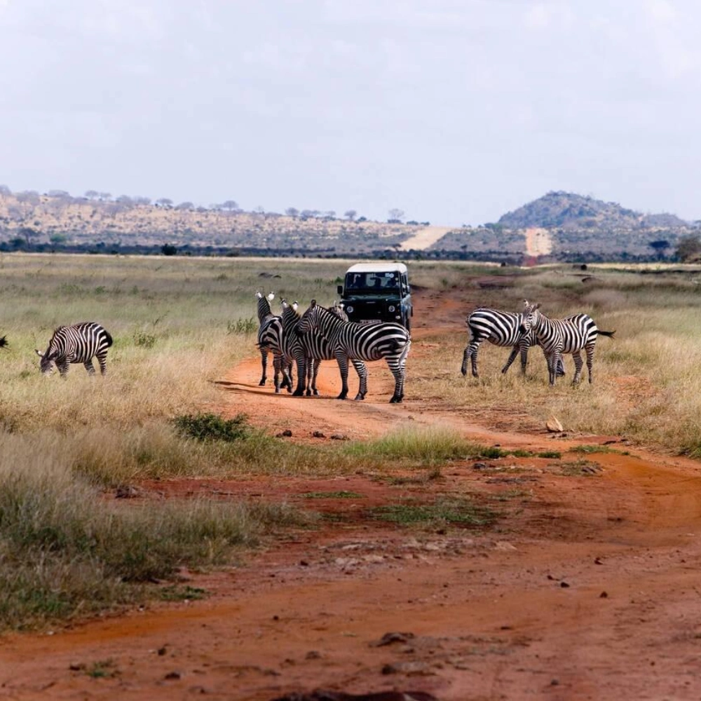 3 Days Tsavo East and West Safari Attractions