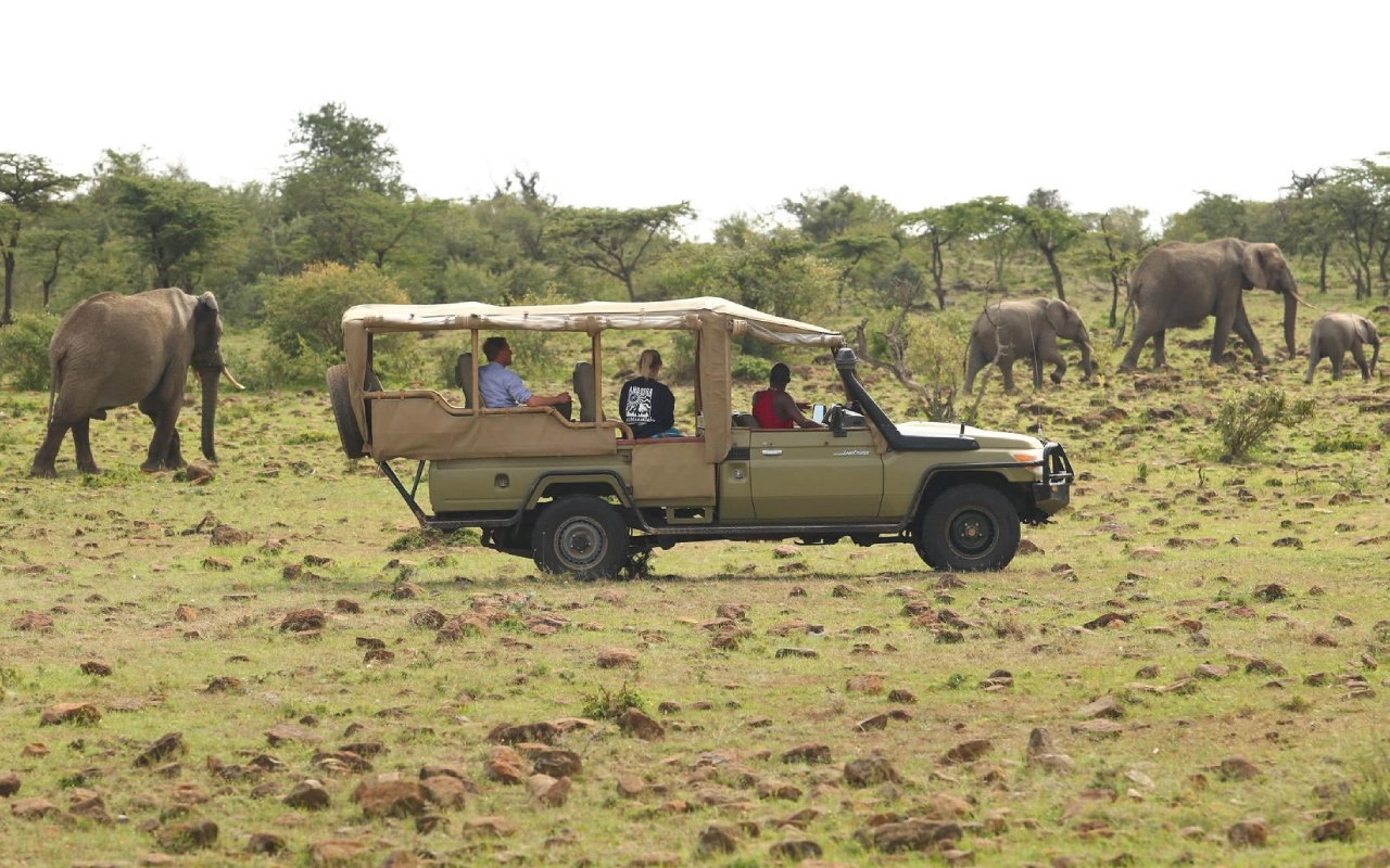 4 Days Flying Safari From Mombasa or Malindi or Diani Game Drive