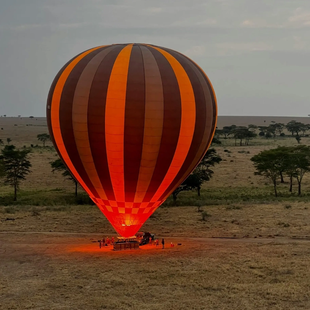 4 Days Flying Safari From Mombasa or Malindi or Diani Attractions
