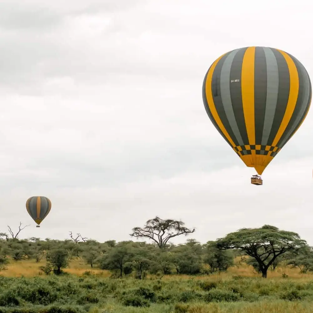 4 Days Four Season Ultra Luxury Flying Safari Attractions