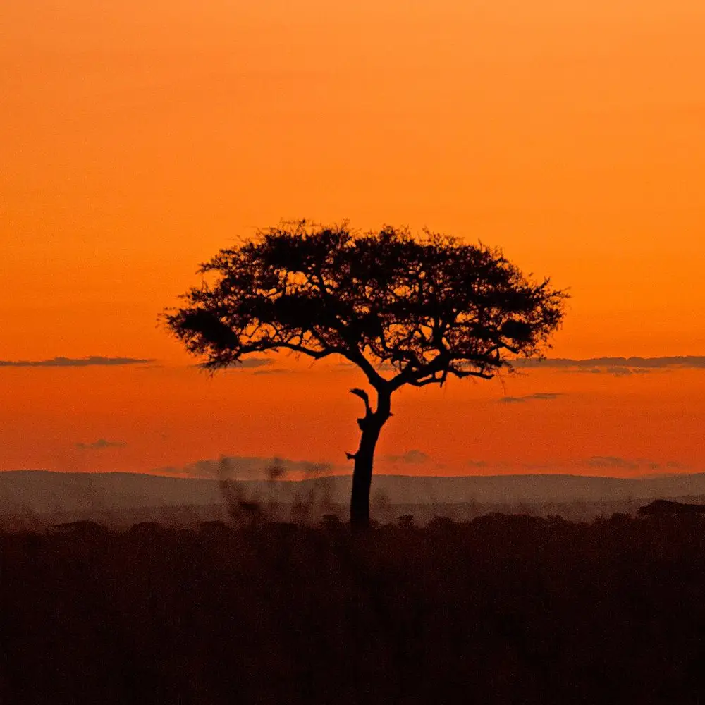 4 Days Four Season Ultra Luxury Flying Safari Attractions