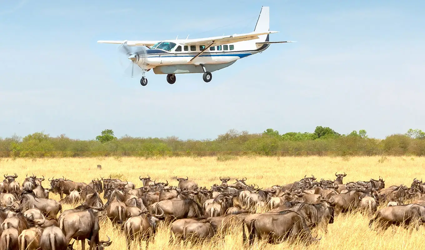 4 Days Four Season Ultra Luxury Flying Safari