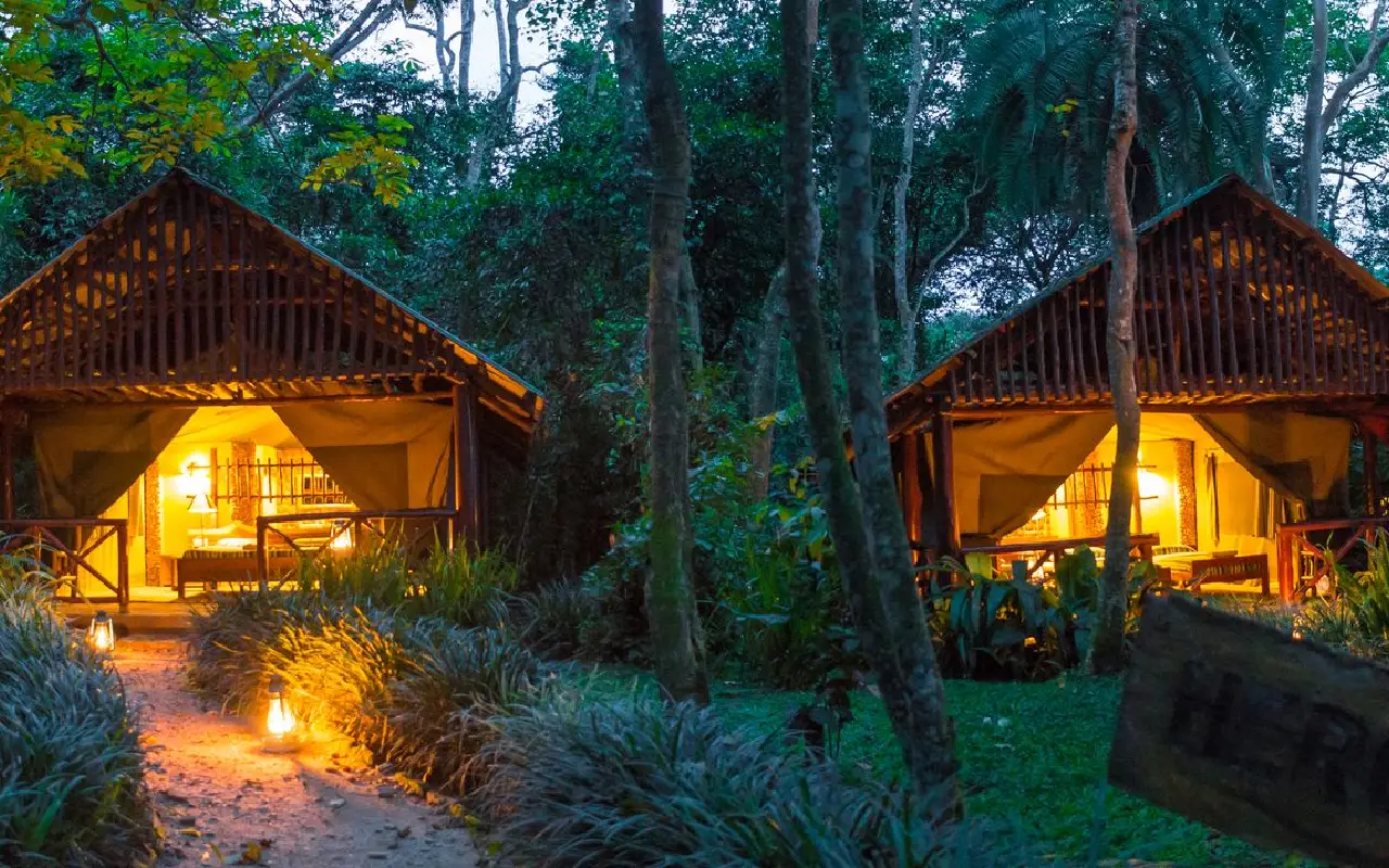 4 Days Kibale Chimpanzee Trekking and Bigodi Wetland Safari Lodge