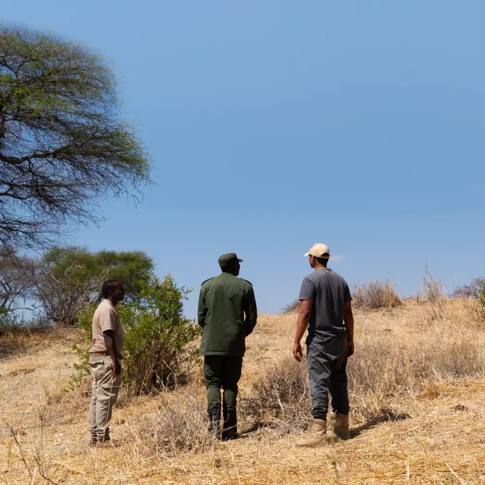 4 Days Lake Manyara And Tarangire Fly-In Safari From Zanzibar