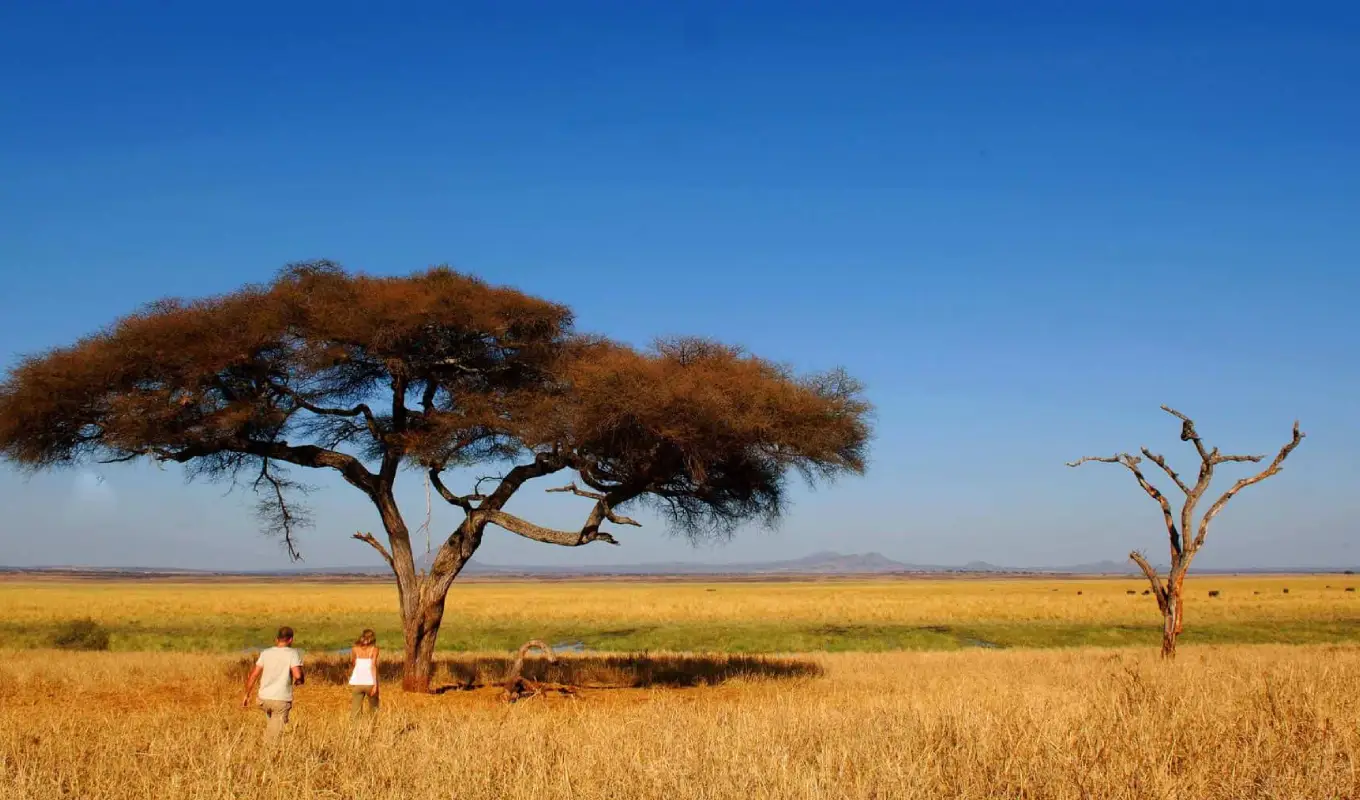 4-days-lake-manyara-and-tarangire-fly-in-safari-from-zanzibar Wildlife