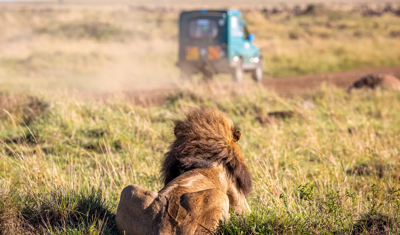 4 Days Luxury Safari To Laikipia – Loisaba Conservancy 