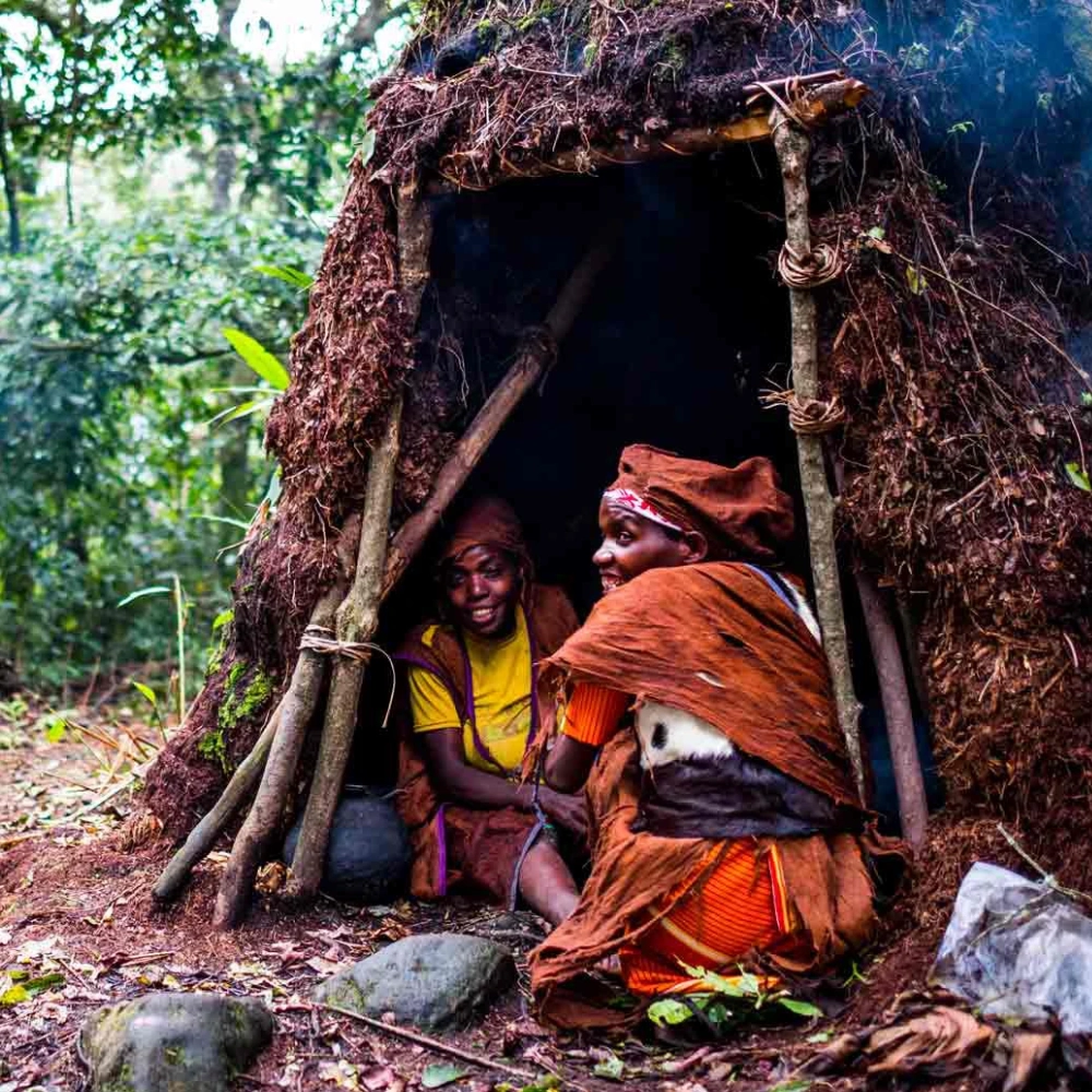 4 Days Mountain Gorilla Trekking Safari – Road Safari Attraction