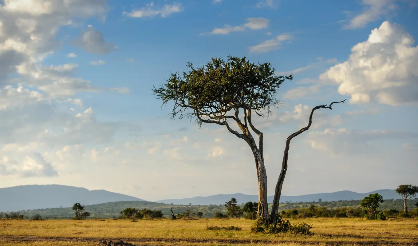 4 Days Of Wild Beauty In Untamed Wilderness At Meru National Park 