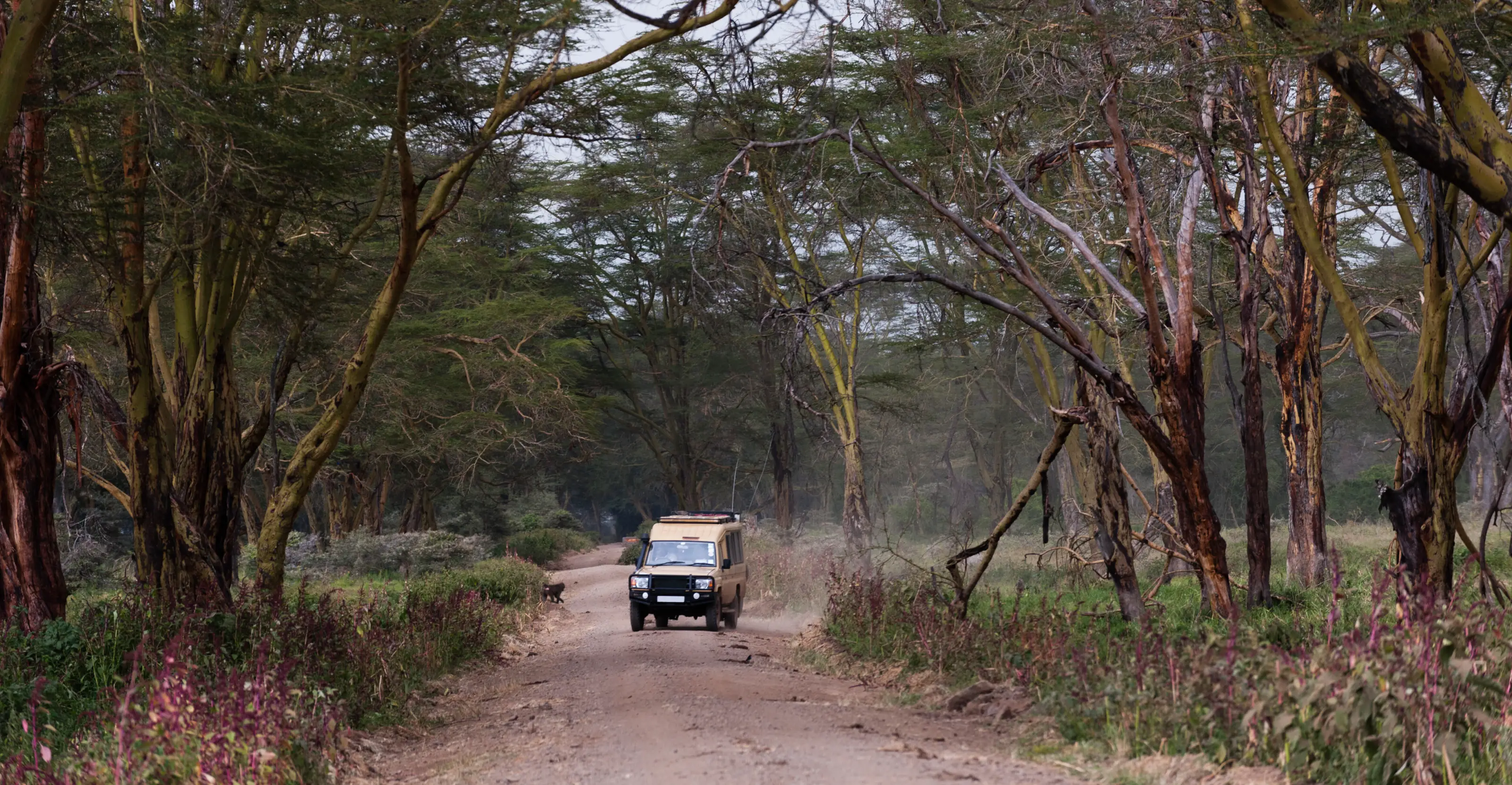 4 Days Of Wild Beauty In Untamed Wilderness At Meru National Park 