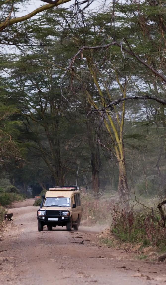 Wild Beauty In Untamed Wilderness