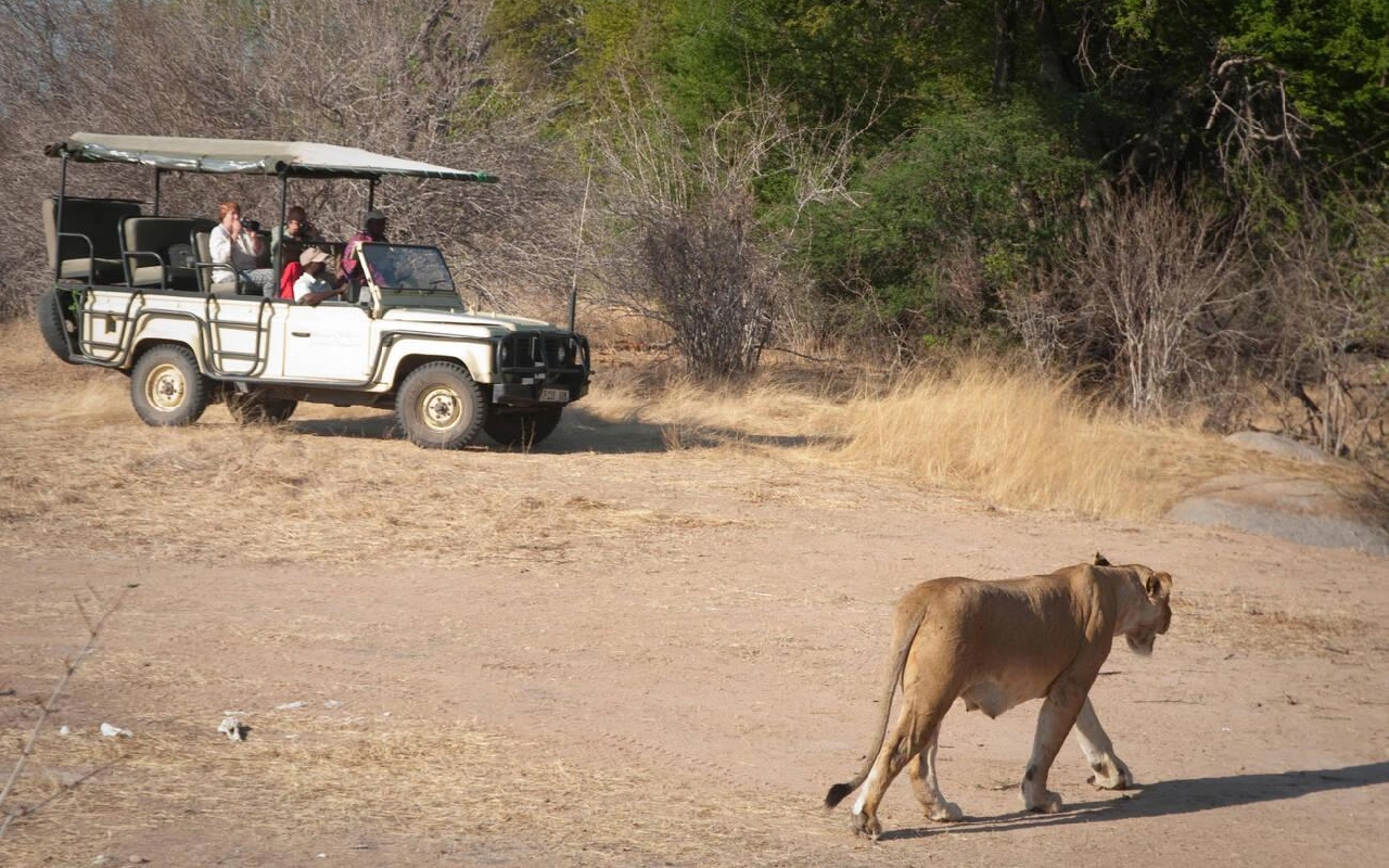 4 Days Ruaha National Park Fly-In Safari From Zanzibar GameDrive