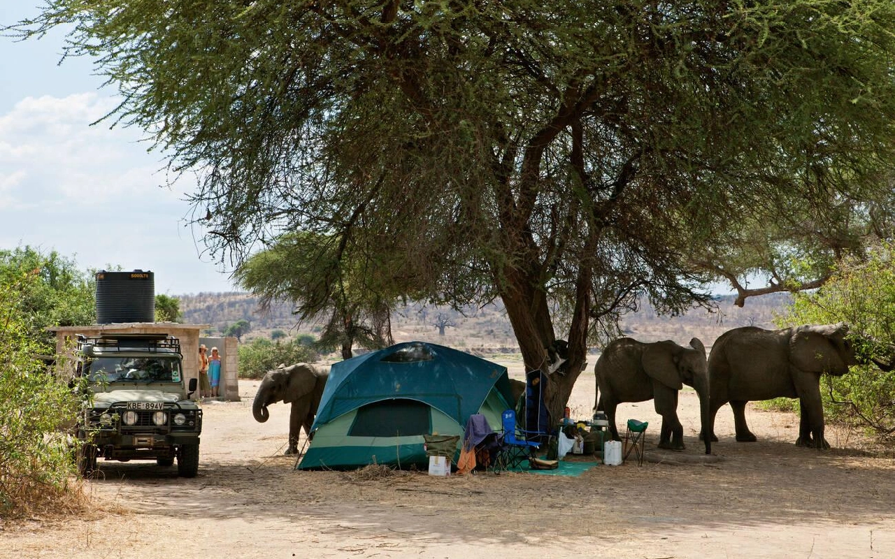 4 Days Ruaha National Park Fly-In Safari From Zanzibar GameDrive