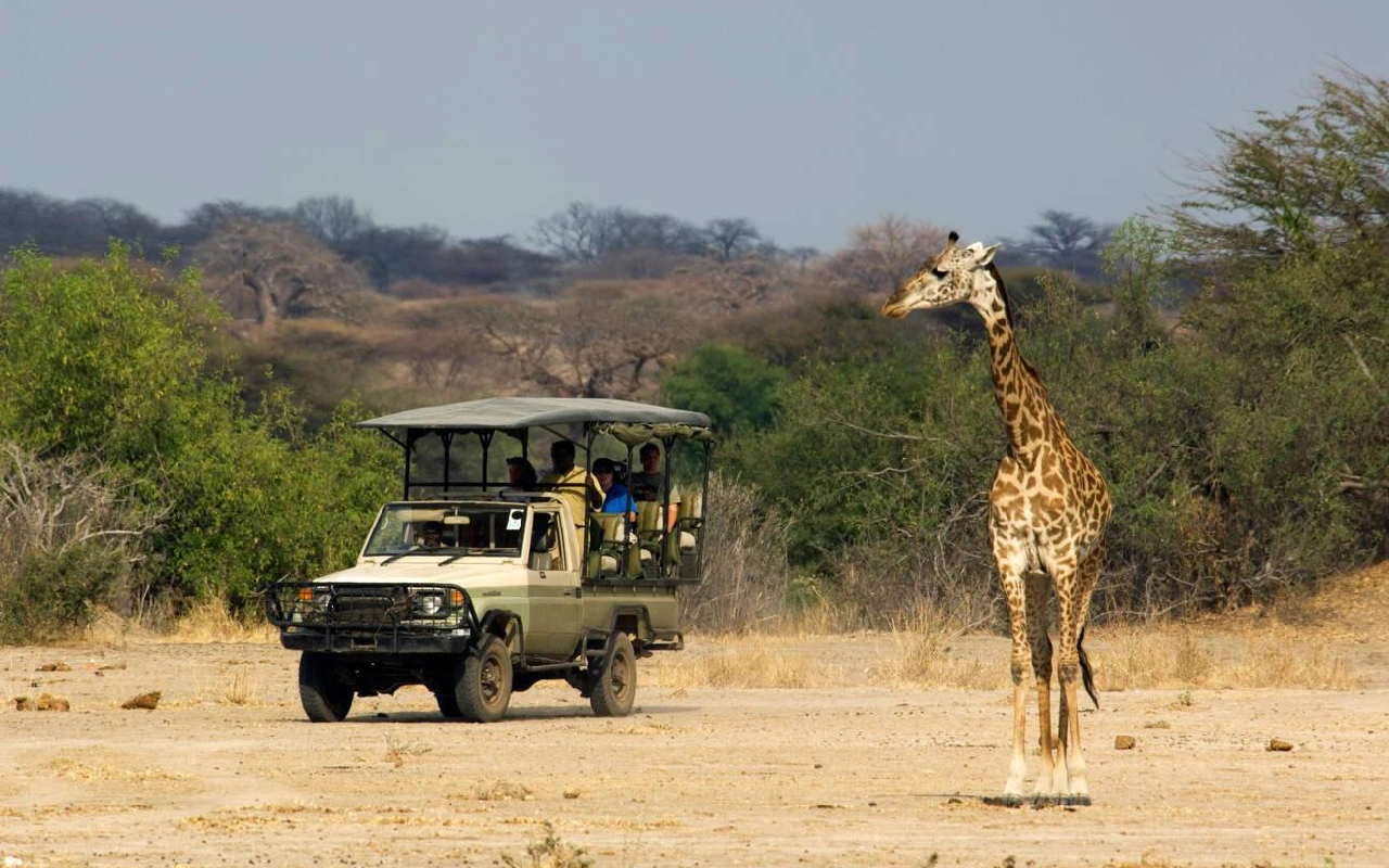 4 Days Ruaha National Park Fly-In Safari From Zanzibar GameDrive