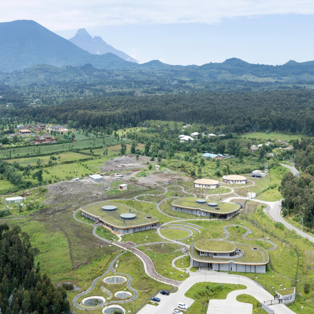 4 Days Rwanda Gorilla Trekking Safari by Helicopter Attraction