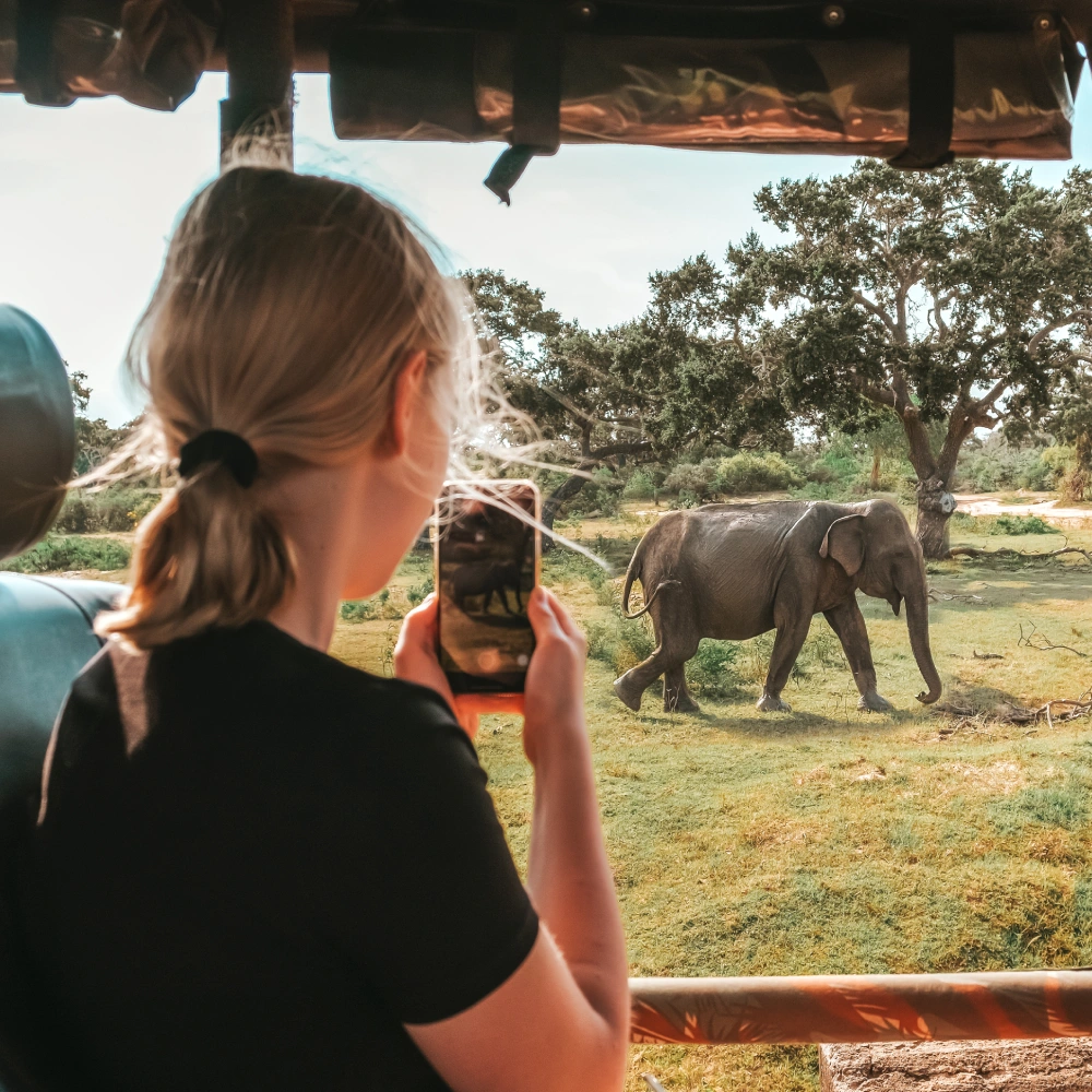 4 Days Samburu & Ol Pejeta Safari  Attractions