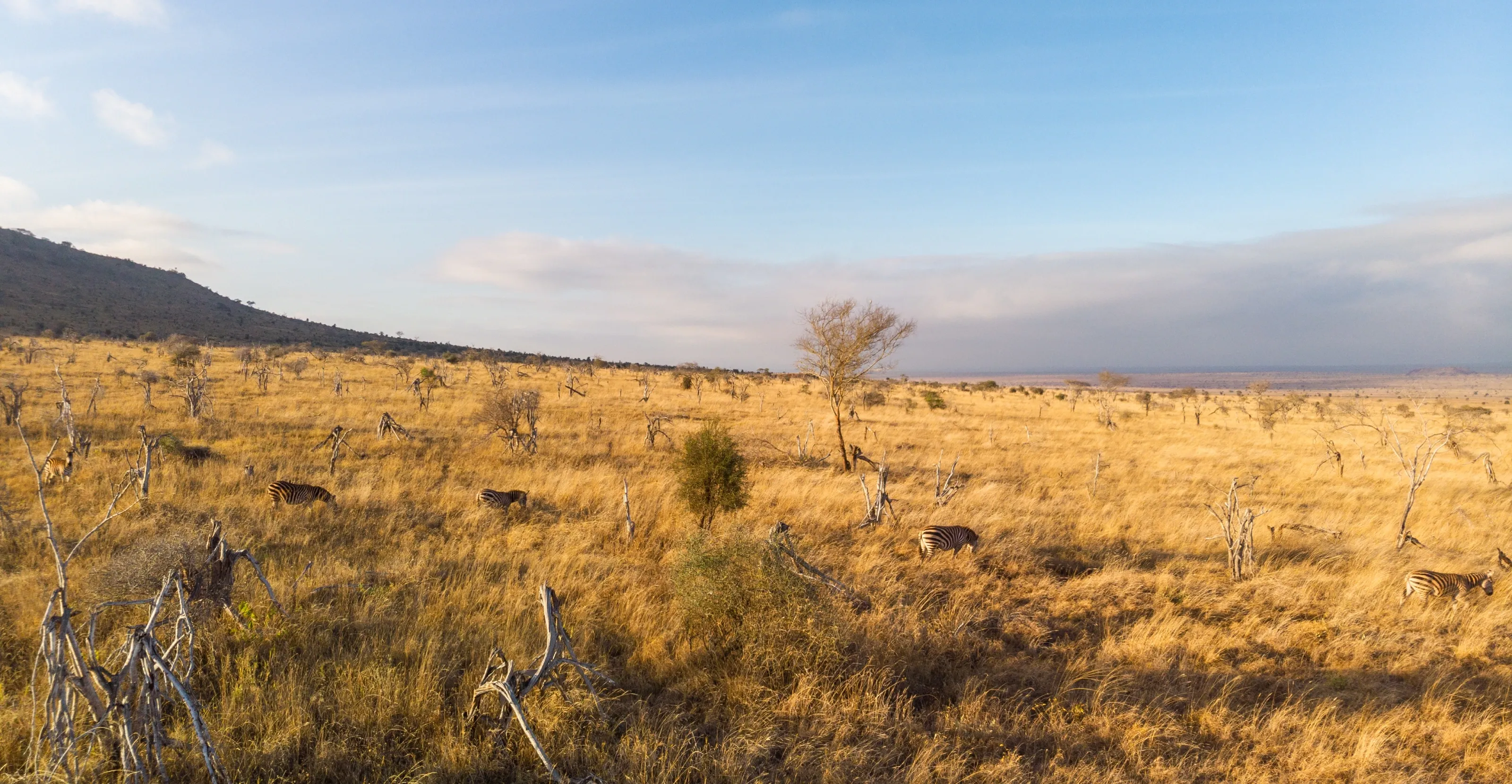 4 Days Samburu & Ol Pejeta Safari 