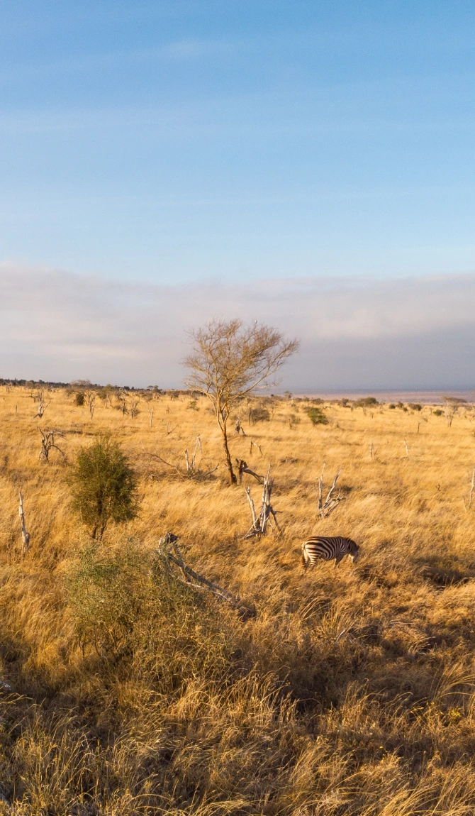 Samburu & Ol Pejeta Safari