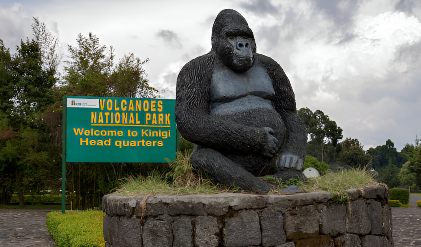 African Hartebeest Volcanoes Park