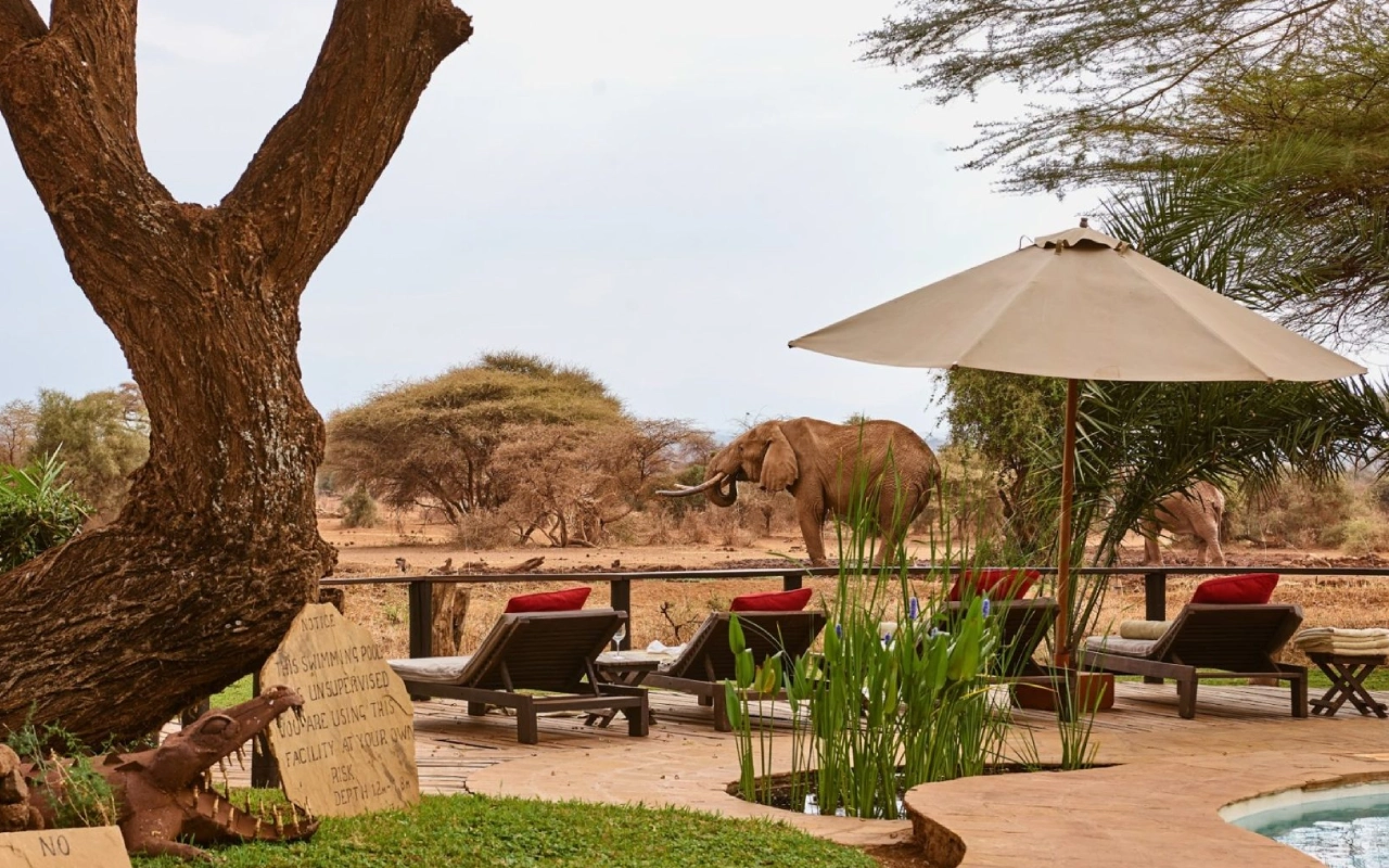5 Days Amboseli And Masai Mara Safari Accommodations