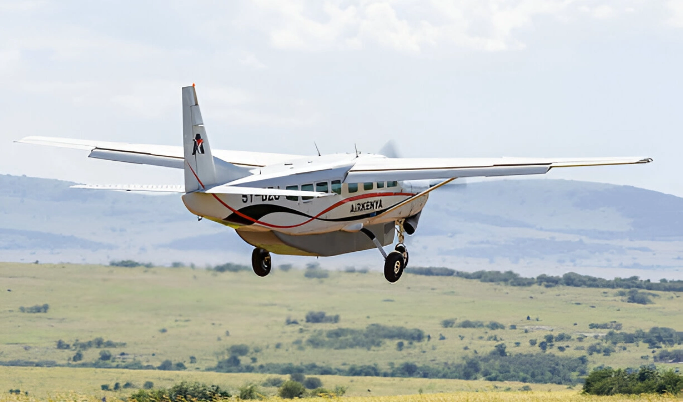 5 Days Amboseli And Masai Mara Safari Wildlife
