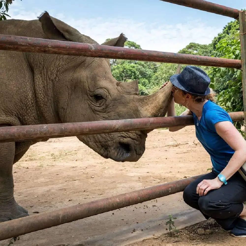 5 Days Bwindi Gorilla Trekking and Lake Bunyonyi Experience Attraction