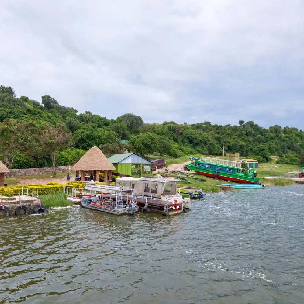 5 Days Bwindi Gorilla Trekking and Lake Bunyonyi Experience Attraction