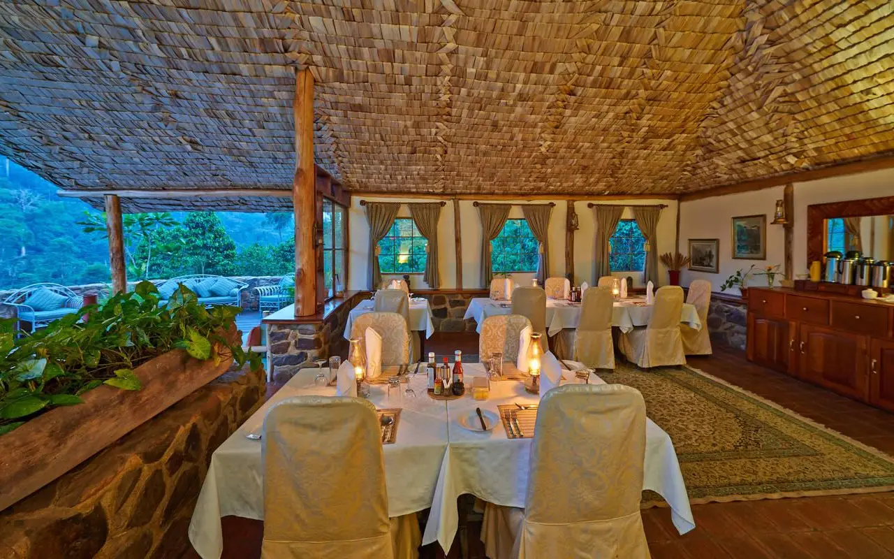 5 Days Bwindi Gorilla Trekking and Lake Bunyonyi Experience Lodge