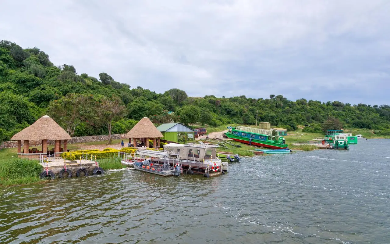 5 Days Bwindi Gorilla Trekking and Lake Bunyonyi Experience Boat Safari
