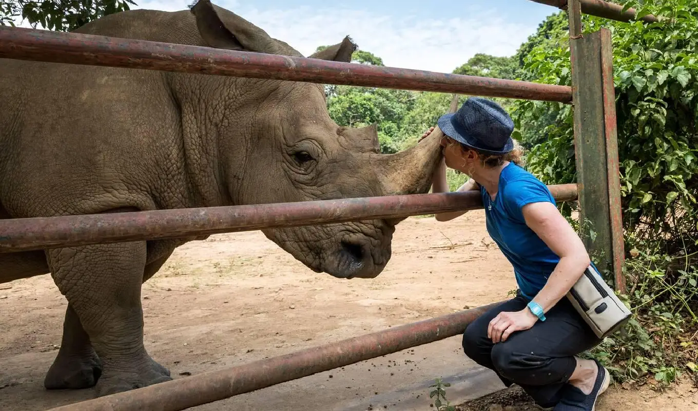 5 Days Bwindi Gorilla Trekking and Lake Bunyonyi Experience Game Drive