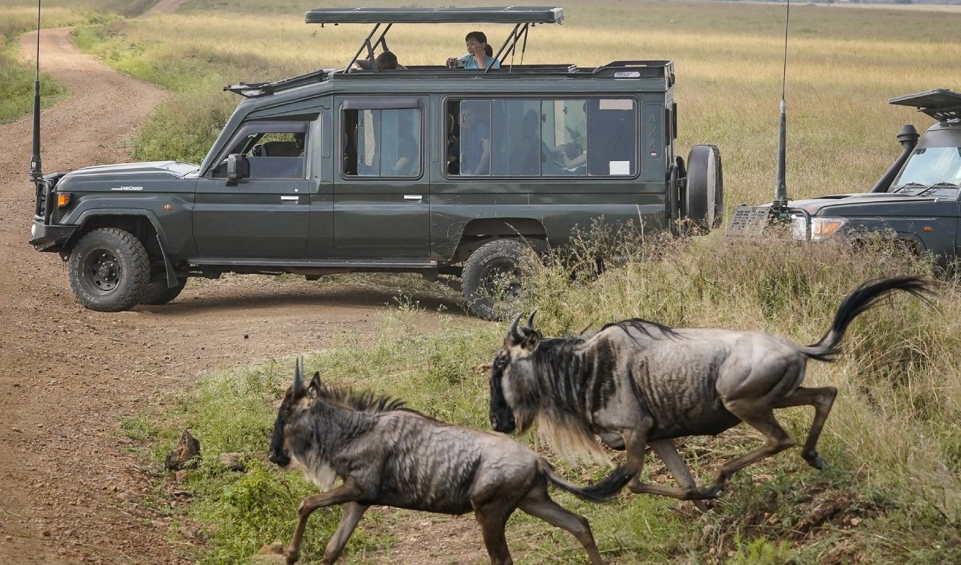 8 Days Kenyan Safari Splendor Wildlife