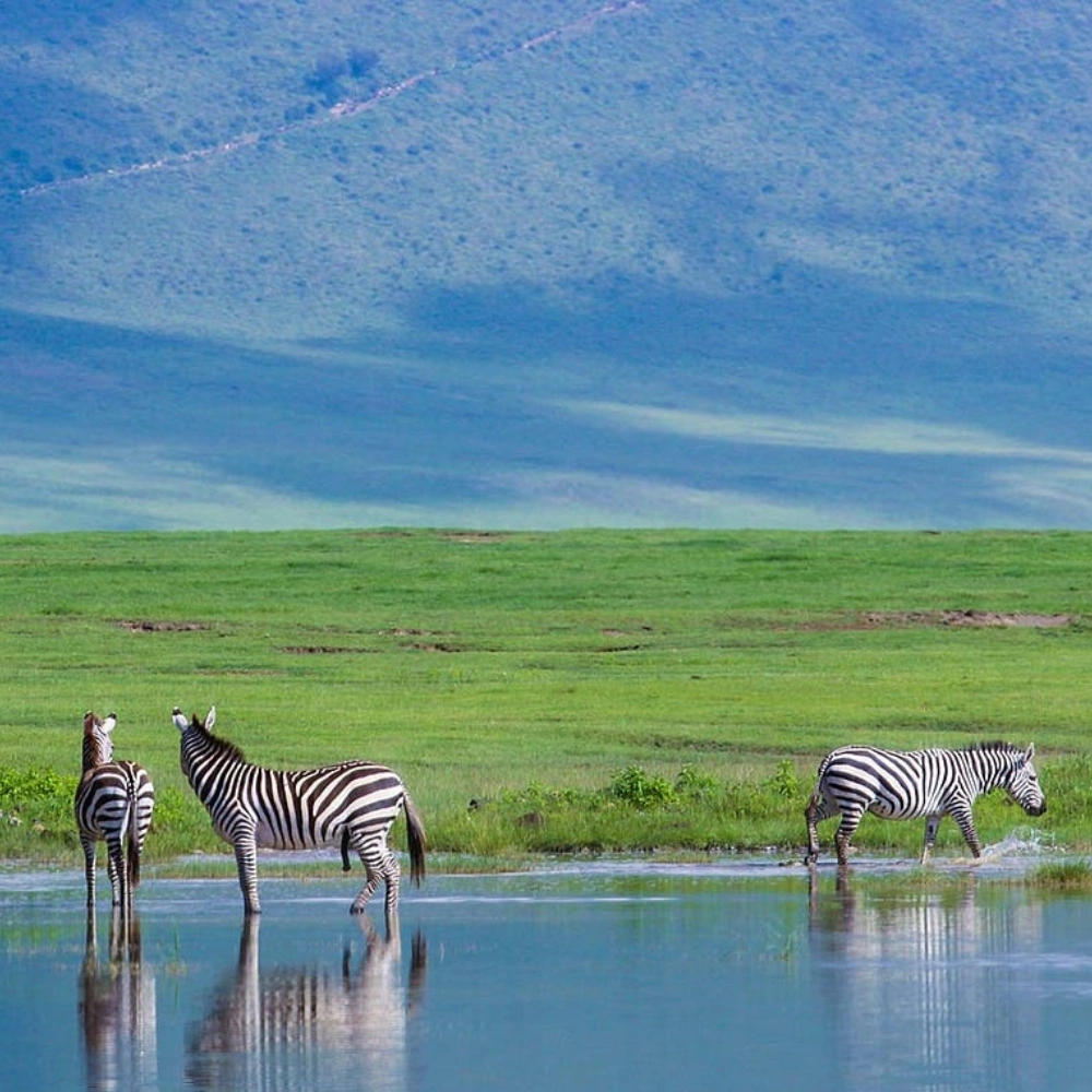 5 Days Northern Parks Safari Extension