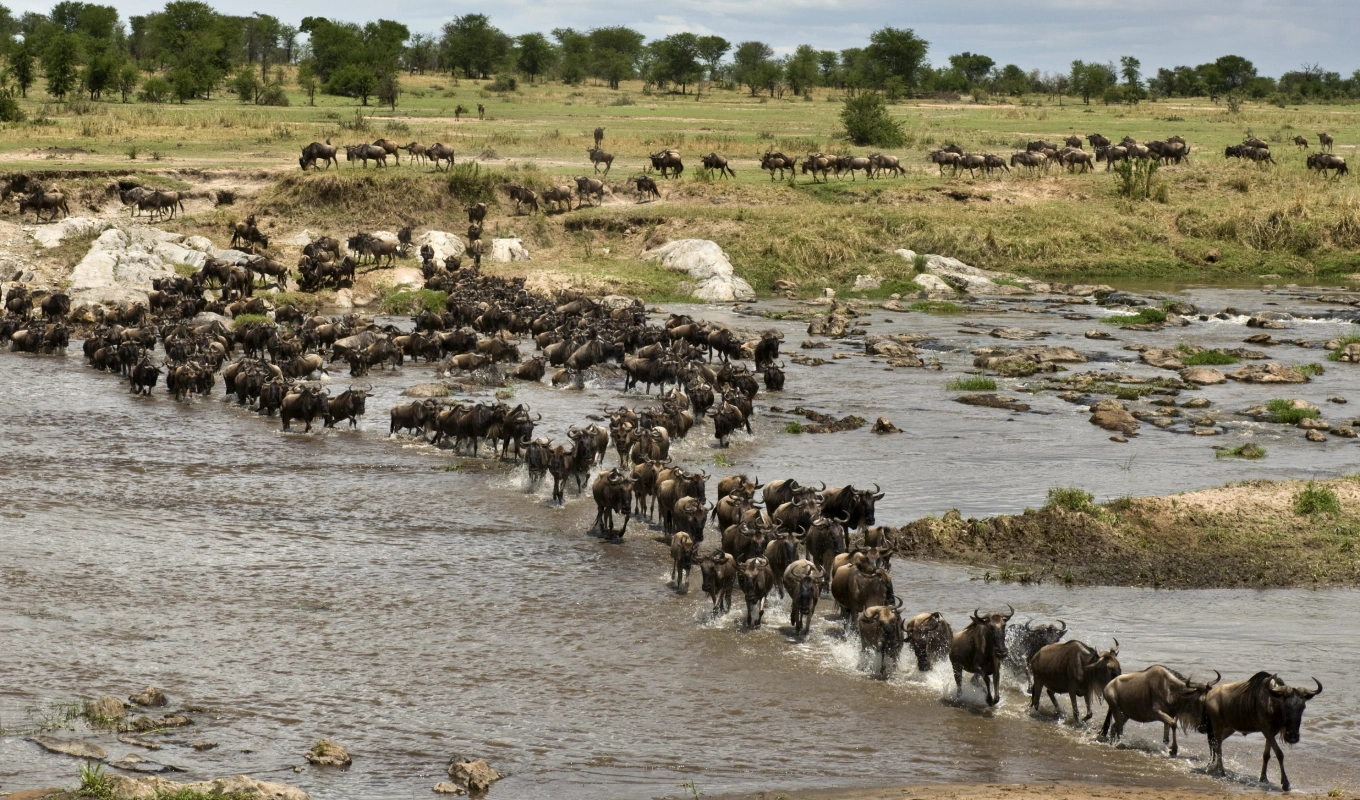 5 Days Out of Africa Luxury  safari 