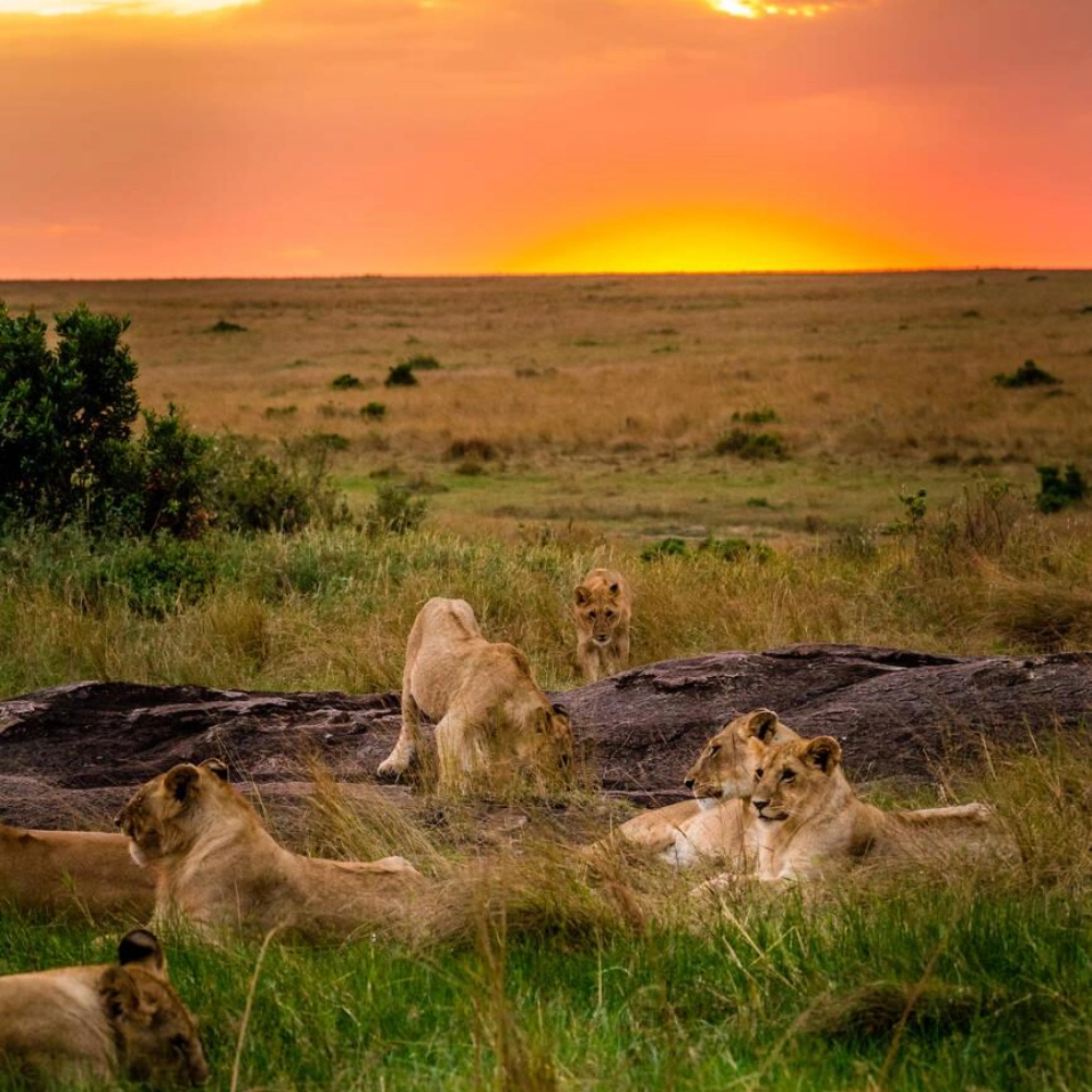 5 Days Rift Valley Lake Safari Attractions