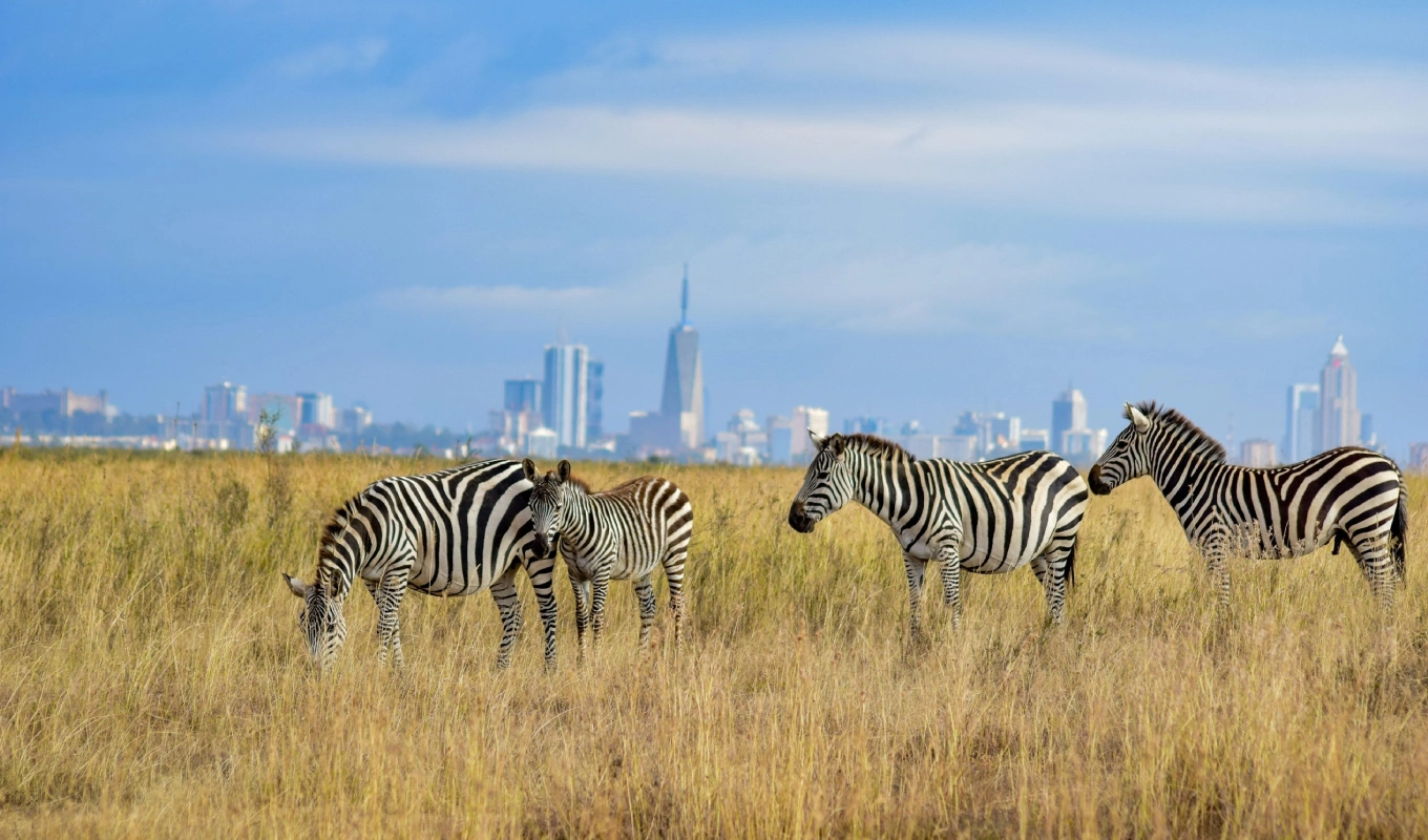 5 Days Rift Valley Lake Safari Wildlife