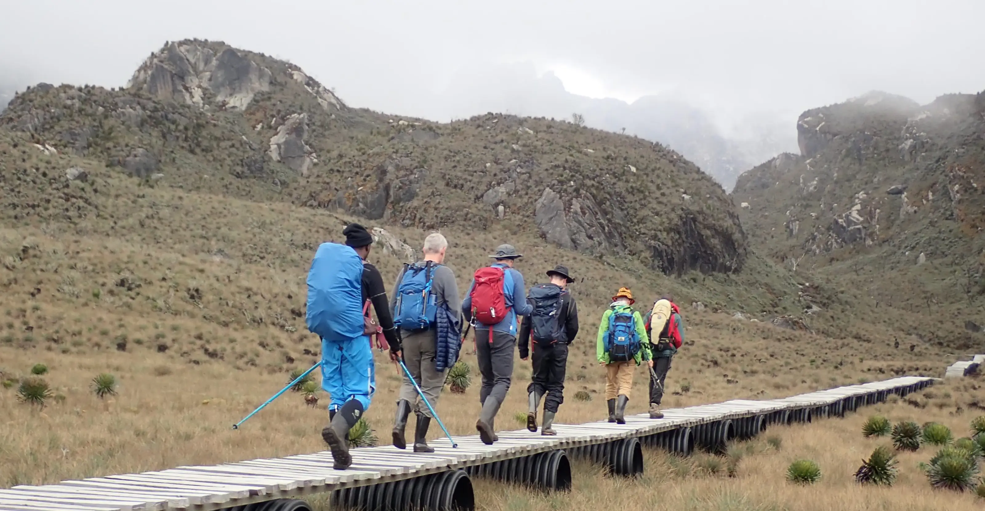 5 Days Rwenzori Mountain Hiking Adventure