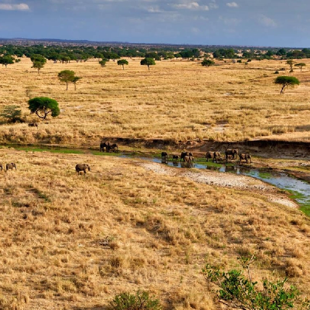 5 Days Tanzania Highlights Safari Attractions