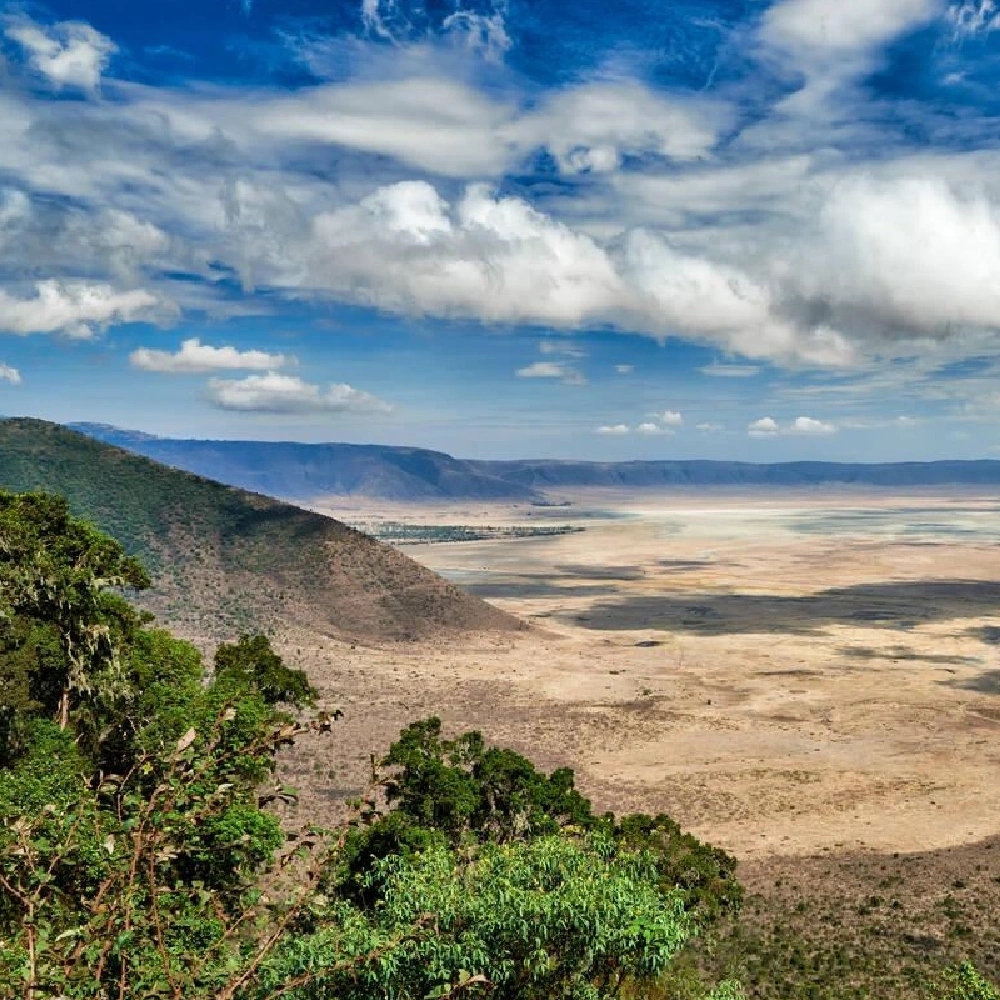 5 Days Tanzania Highlights Safari Attractions