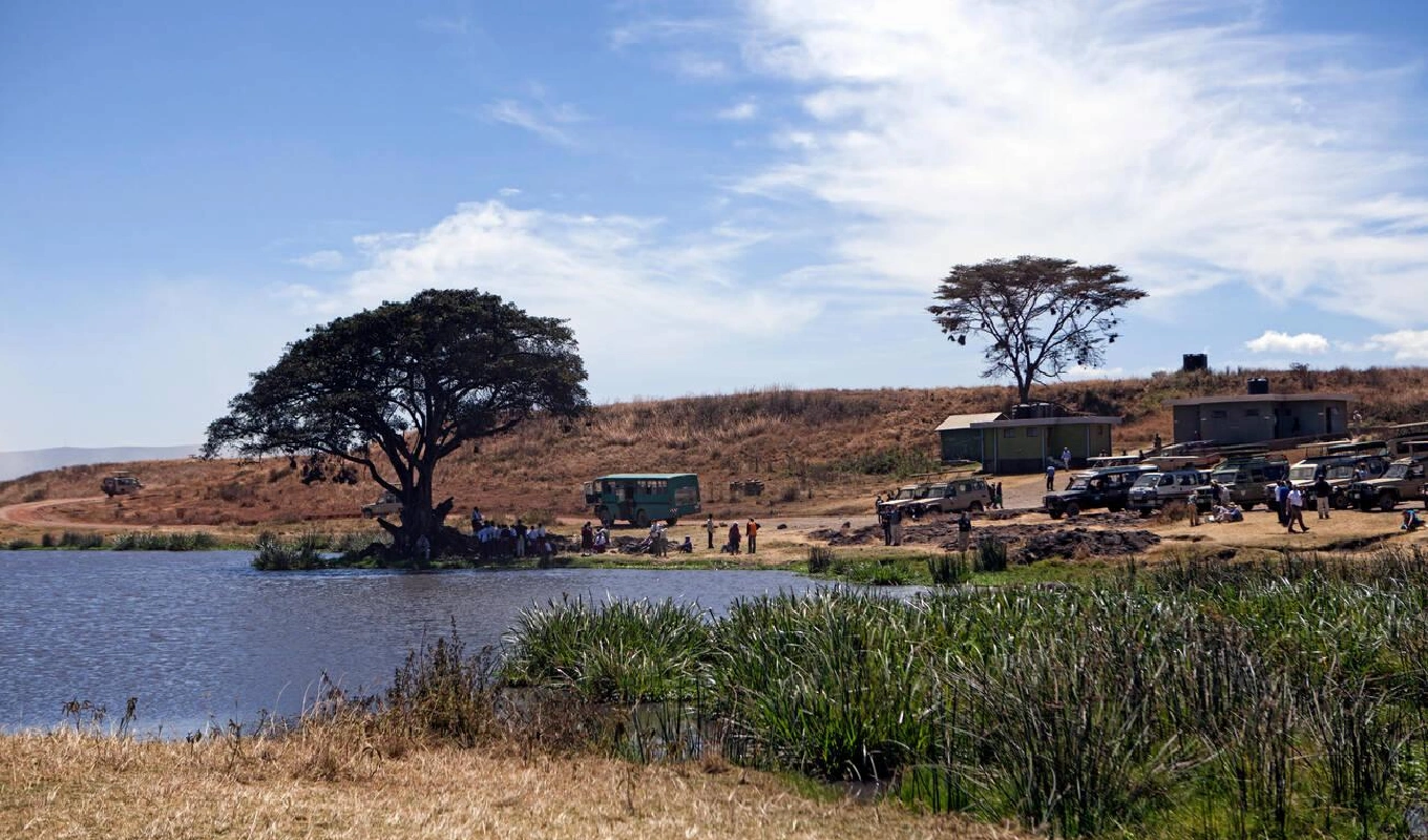 5 Days Tanzania Highlights Safari Attractions