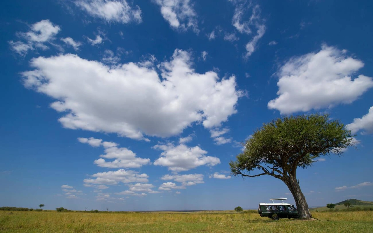 5 Days Tanzania Highlights Safari GameDrive