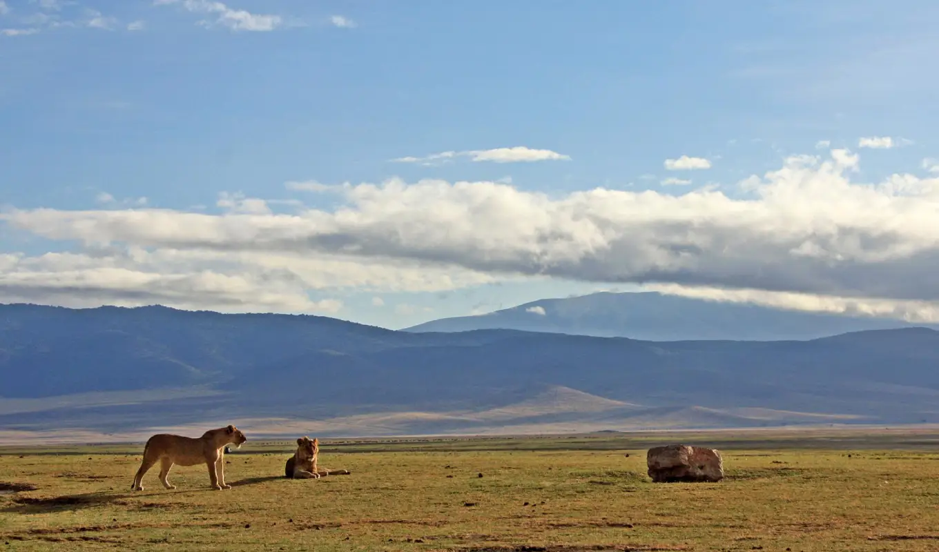 5 Days Tanzanian Safari Adventure Ngorongoro