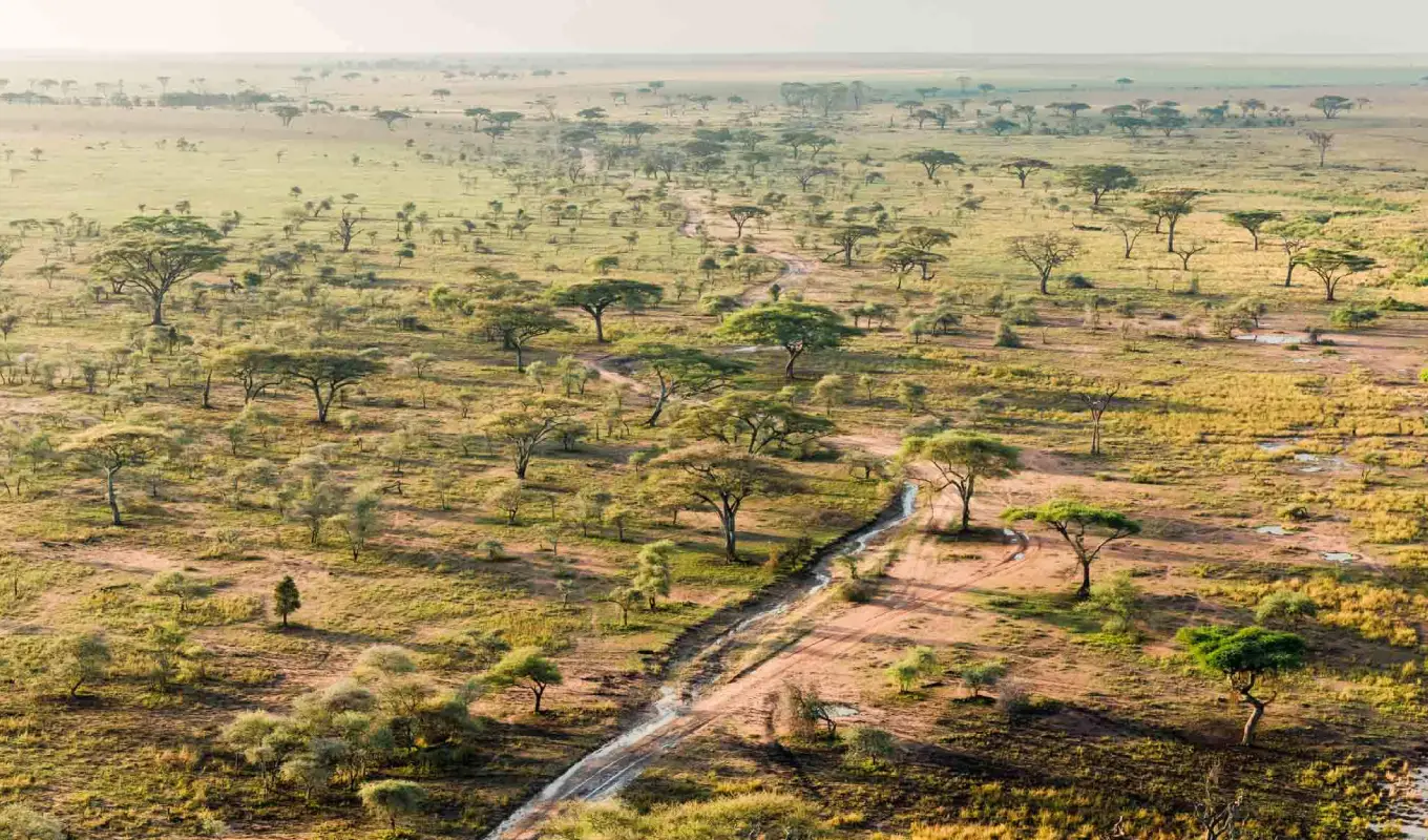 5 Days Tanzanian Safari Adventure Serengeti