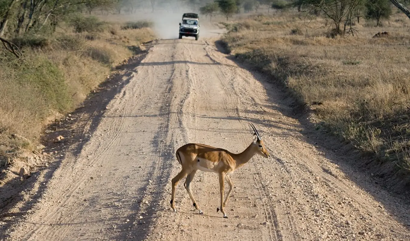 5 Days Tanzanian Safari Adventure Serengeti