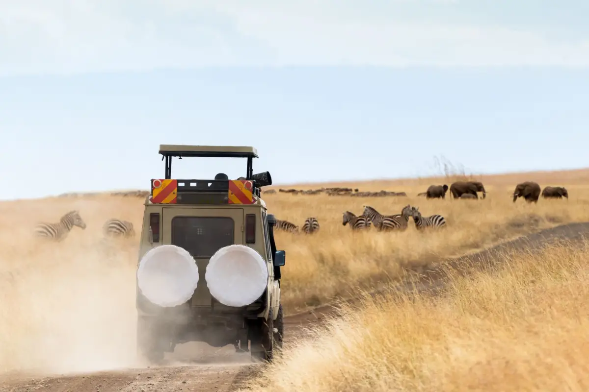 5 Days Tanzanian Safari Adventure Game Drive