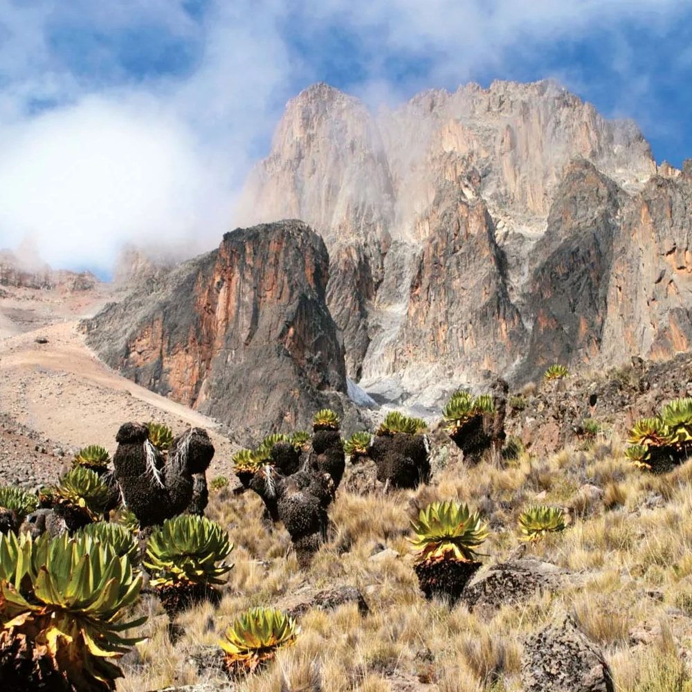 6 Day Taste Of Kenya Attractions