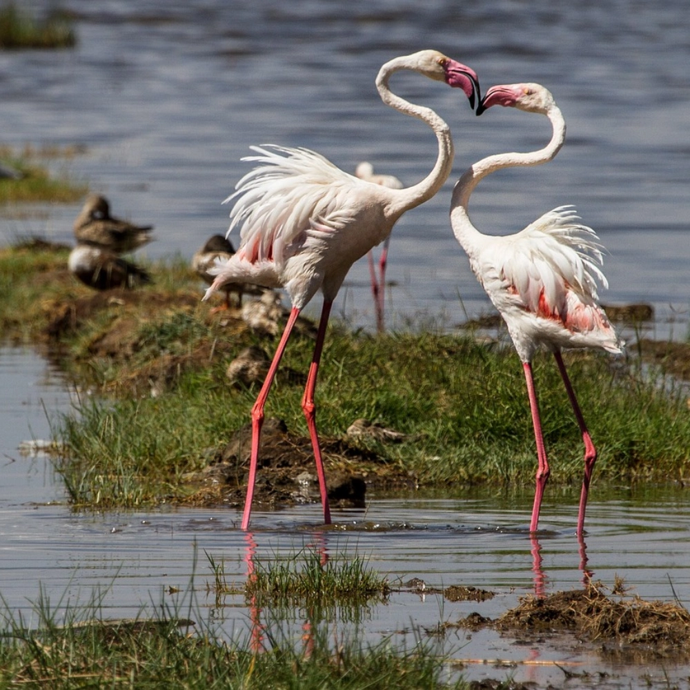 6 Day Taste Of Kenya Attractions