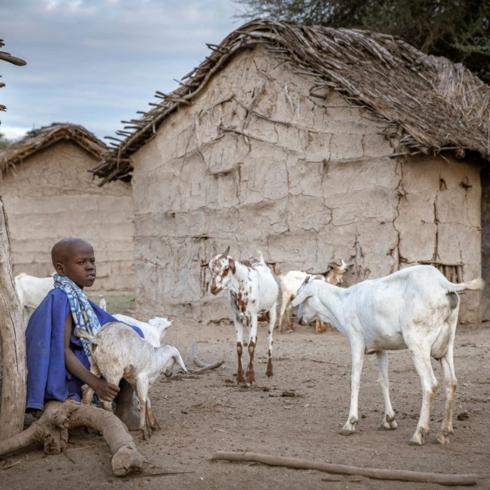 6 Day Taste Of Kenya Attractions