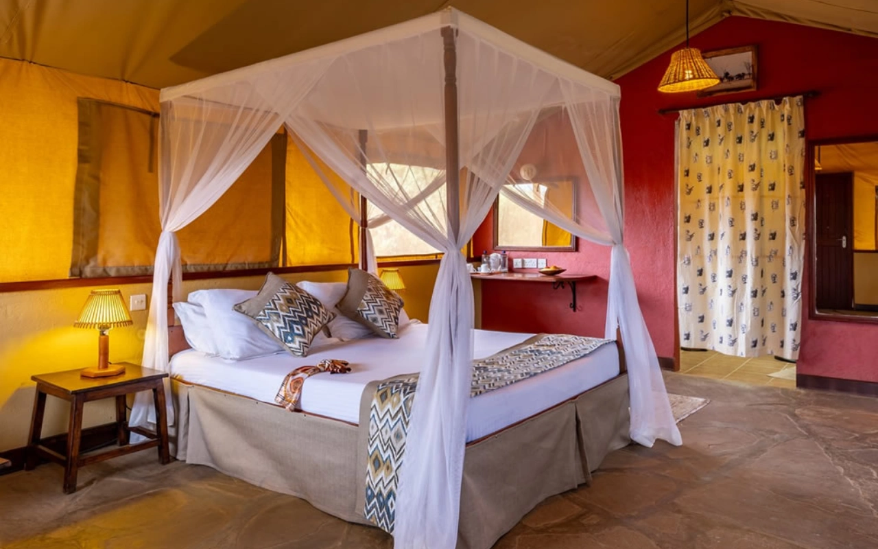 6 Days Tsavo Amboseli Lake Nakuru Safari And Masai Mara Accommodation