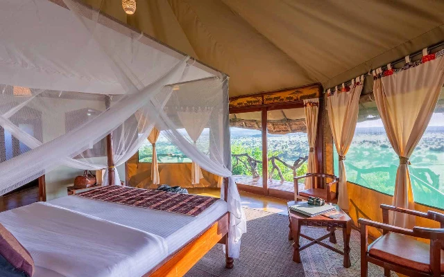 6 Days Classic Northern Circuit Safari