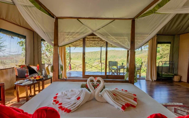 6 Days Classic Northern Circuit Safari