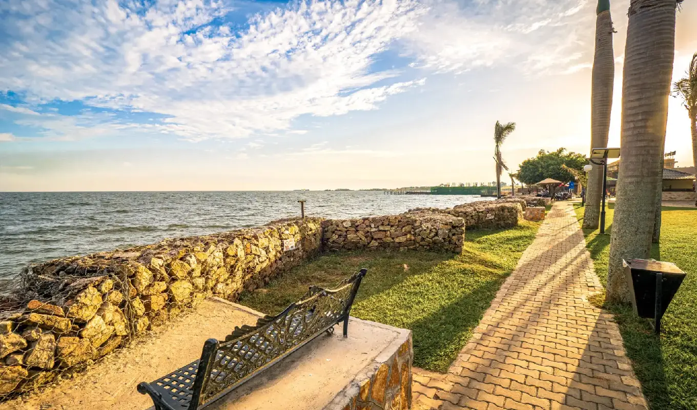 6 Days Gorilla Trekking and Golden Monkey Safari Lodge